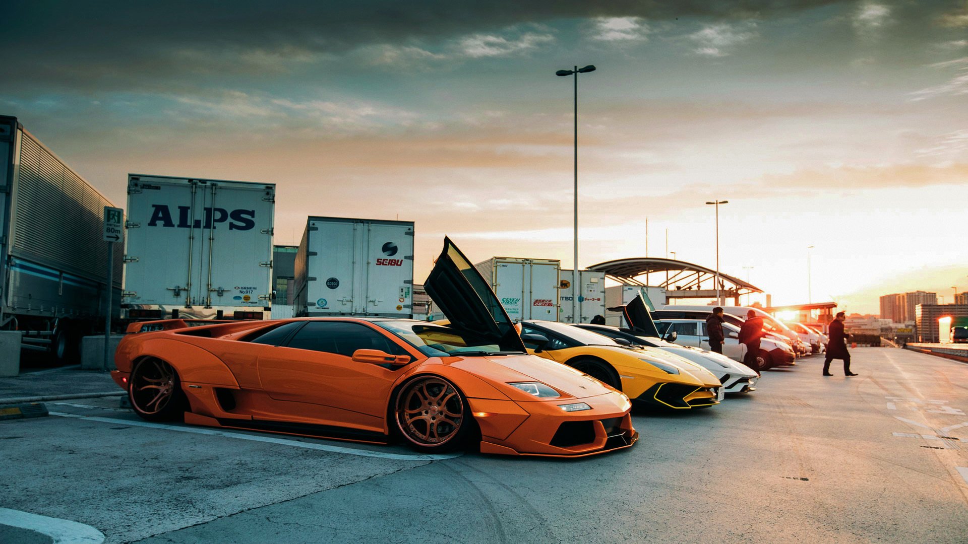 APP下载 LY Sports-_儿童运动乐园：开启运动启蒙的第一步_，搜索儿童运动