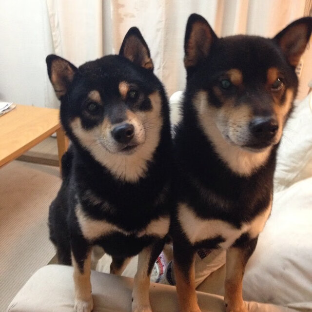 leyu乐鱼-受众热议：最受喜爱的车手TOP10，十大最受欢迎的车