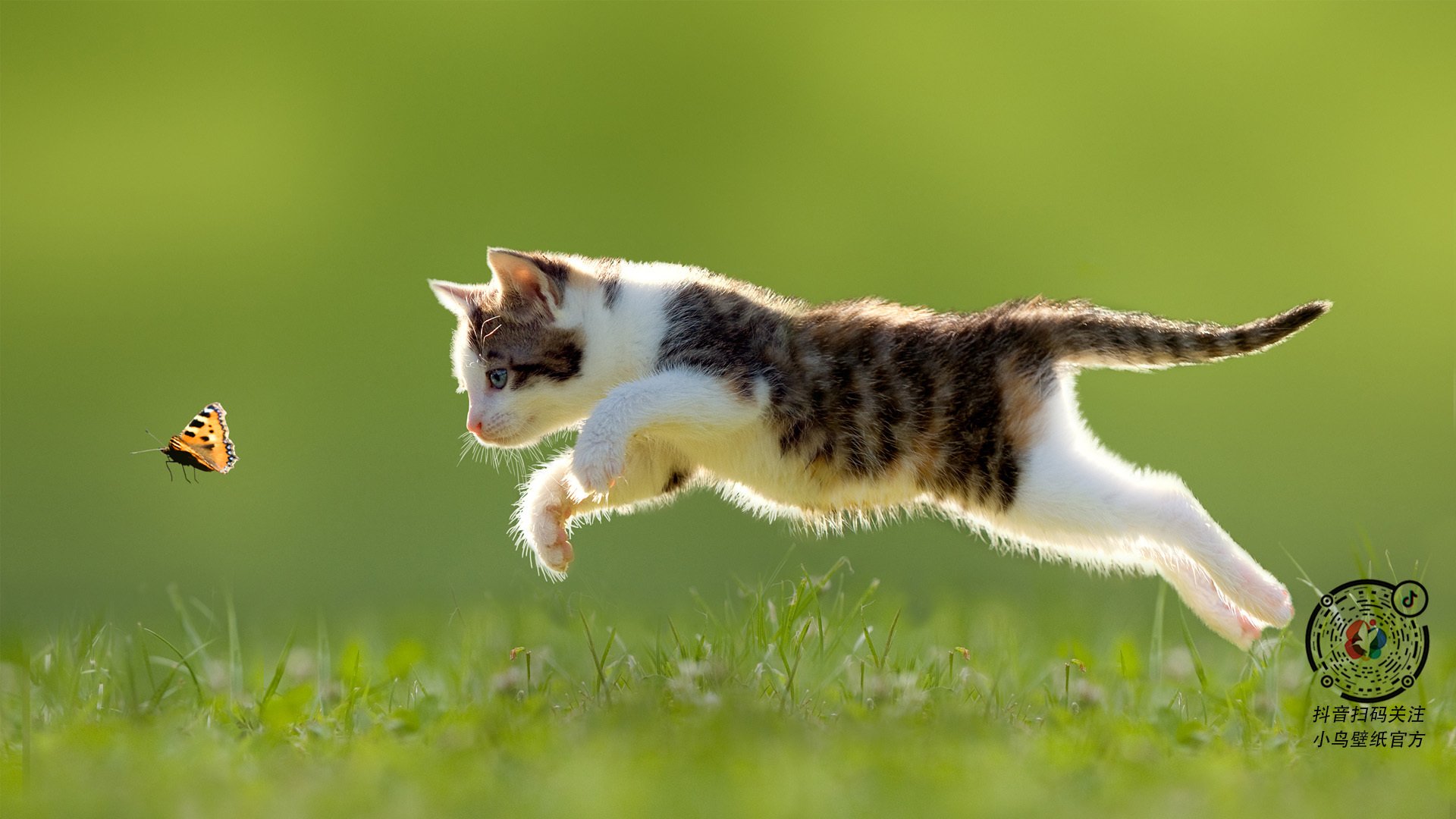 乐鱼app-拜仁锋线新星火力全开，未来之星逐渐崭露头角，拜仁超新星