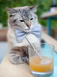 下载乐鱼体育APP-未来“欧洲霸主”竞逐赛：谁将书写新的辉煌？，欧洲竞技