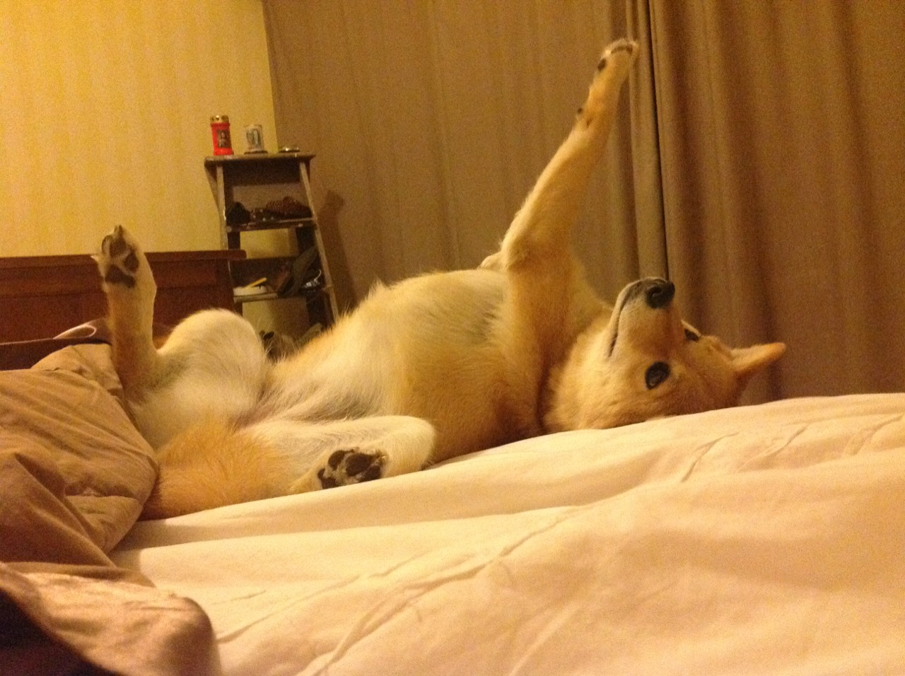 乐鱼电竞在线平台-活力新锐：联盟中最具活力的年轻组合，全新活力