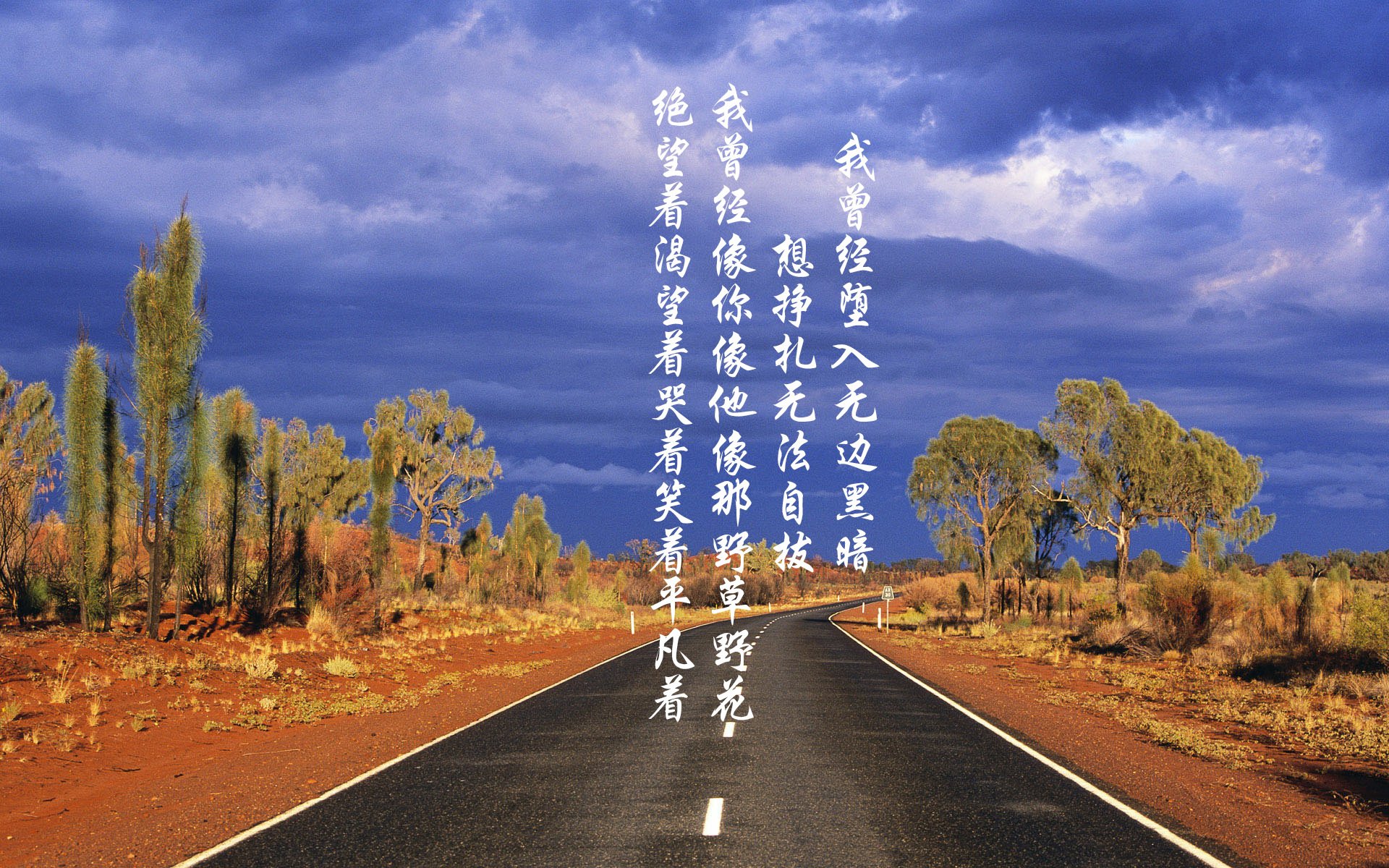 Leyu Sport下载-马尔科斯·达尔梅达在2024年南美锦标赛中以完美的30分收尾，赢得冠军