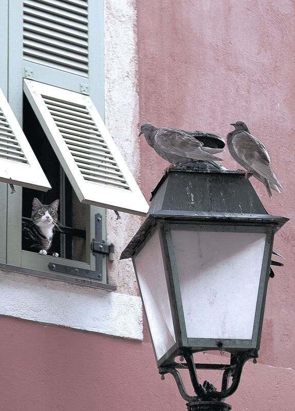 Evil Geniuses逆转晋级季后赛，逆转wiki