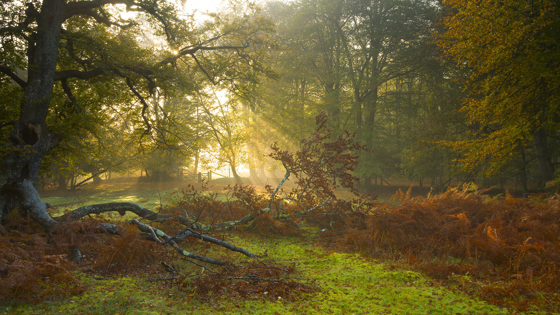Evil Geniuses逆转晋级季后赛，逆转wiki