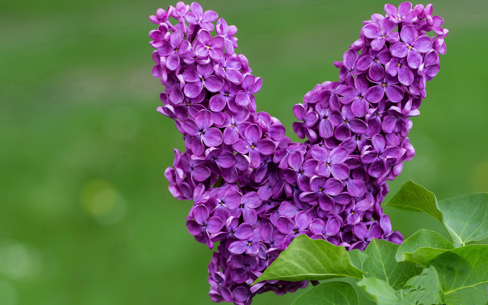 中国足球联赛整体水平稳步提升,中国足球联赛分析