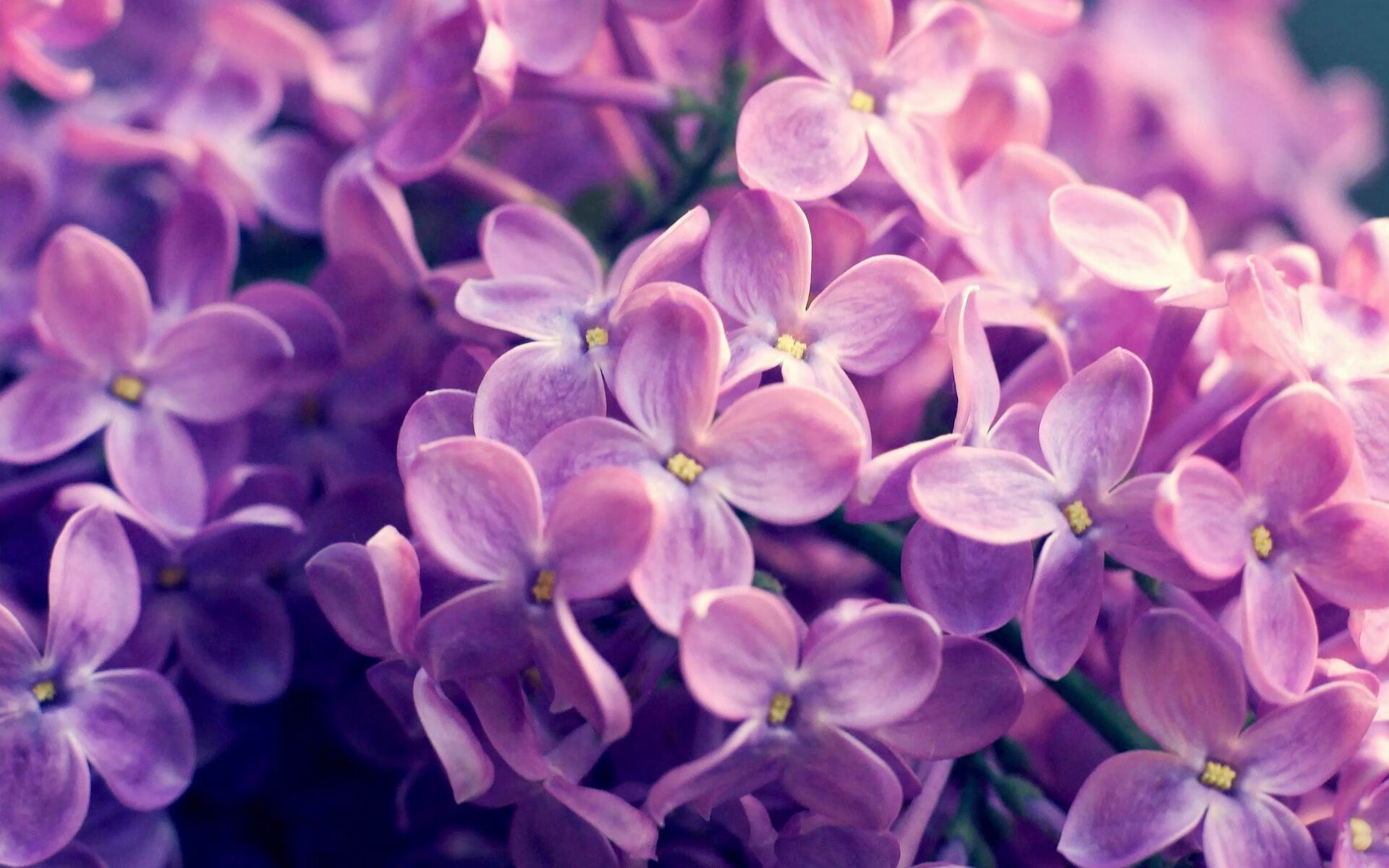 乐鱼电竞在线平台-利物浦客场逆转尤文图斯，时隔多年进入四强！，利物浦对尤文图斯