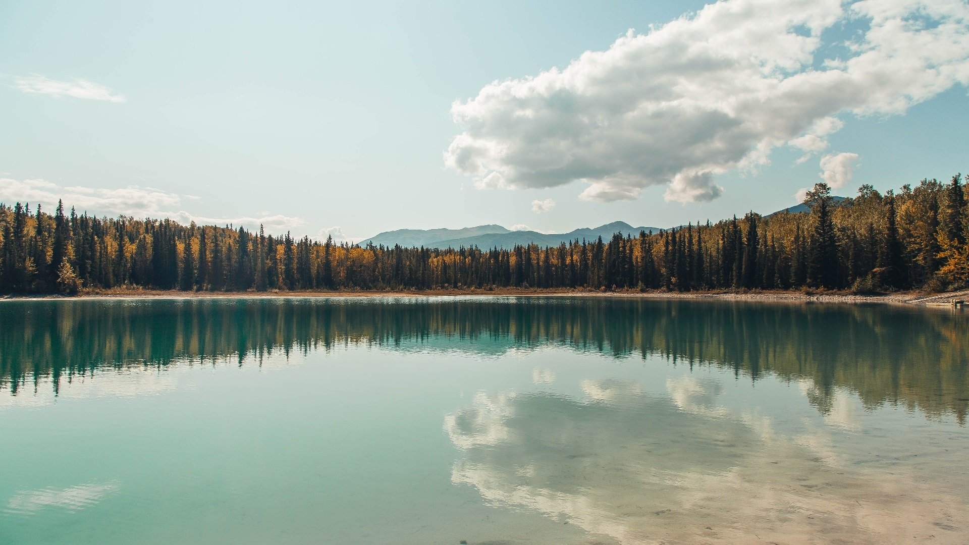 利雅得胜利击败吉达联合，C罗世界波技惊四座，利雅得胜利主场