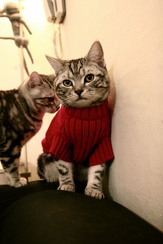 乐鱼vip-库里三节三十分勇士豪取胜利，库里31分三分大赛