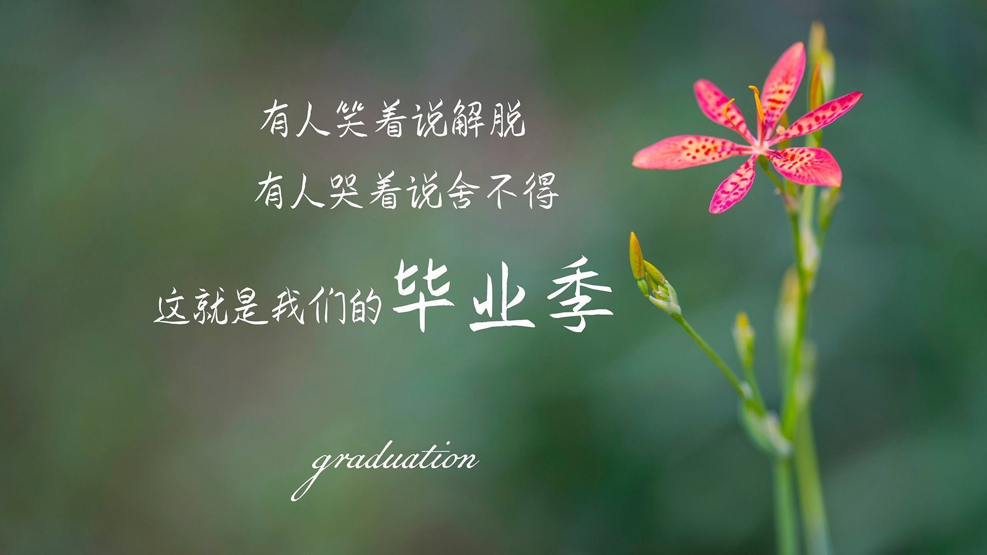 政府加大足球投入，支持产业发展，国家支持足球的政策