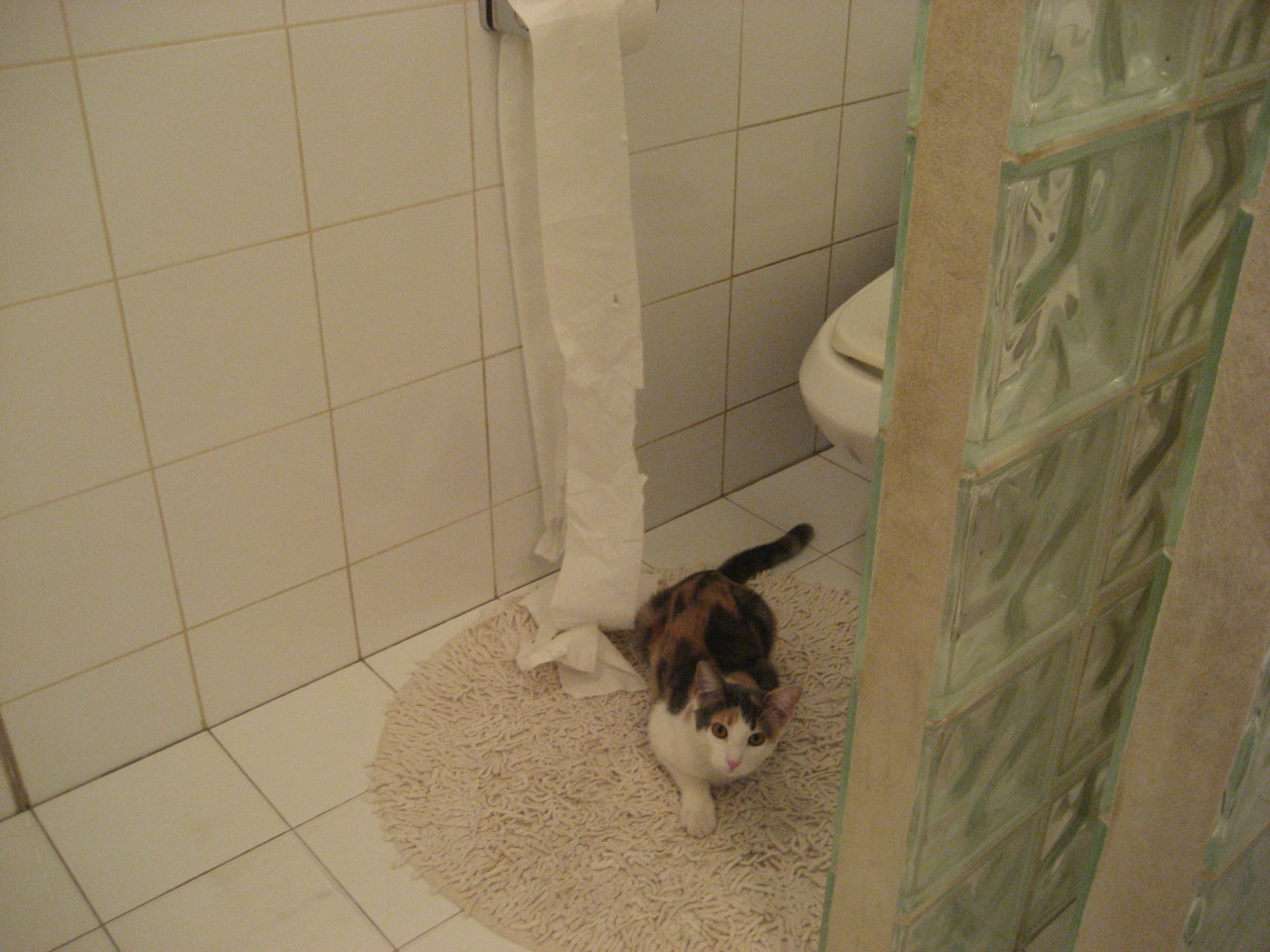 斯洛文尼亚险胜晋级，波黑队失利，斯洛文尼亚队员