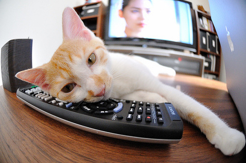 斯洛伐克球员备战挪威,期待出色表现,斯洛伐克球员名单