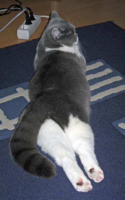 电子竞技首次成为亚运会正式比赛项目，电子竞技亚运会比赛视频