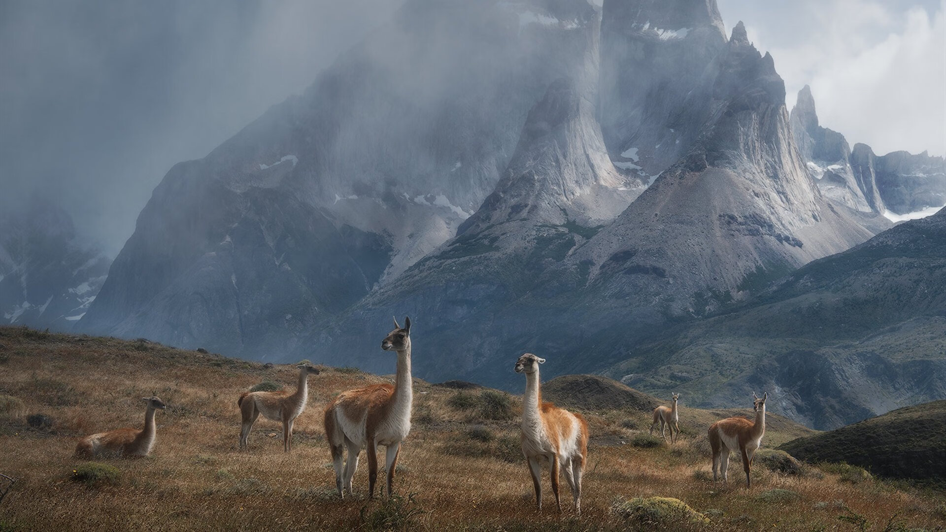 乐鱼电竞在线平台-瓦伦西亚主场失利，球迷纷纷提出质疑，瓦伦西亚 球队