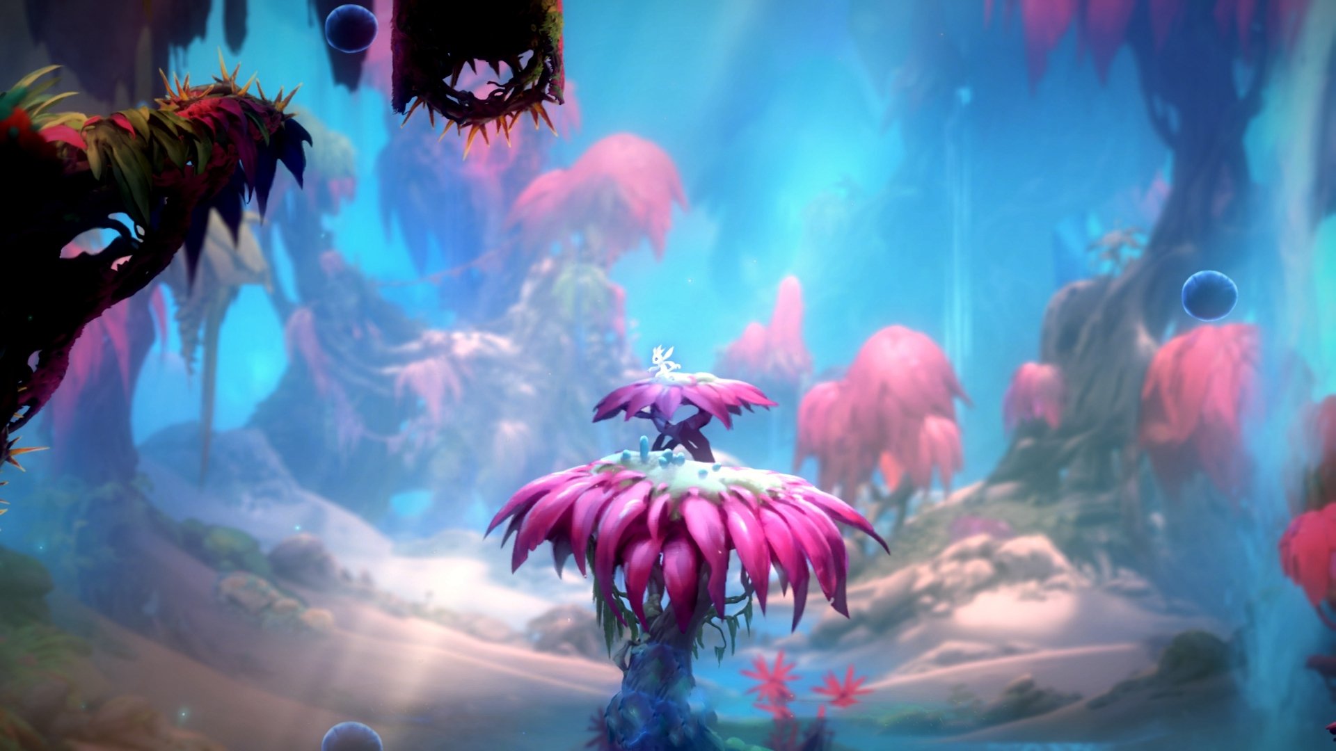 美国击败厄瓜多尔,卡利斯莱德进球,美国击败厄瓜多尔,卡利斯莱德进球视频