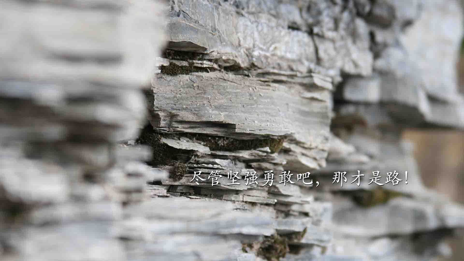 阿森纳签下经验丰富的后卫，增强防线深度，阿森纳历史著名中后卫