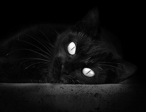 leyu乐鱼官网登录入口-普拉提教练培训课程多样化，满足市场需求，普拉提教练班多少钱