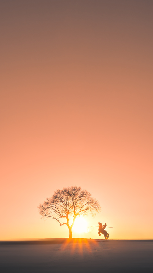 中国足球赛事热度与曝光量排名，中国足球顶级赛事