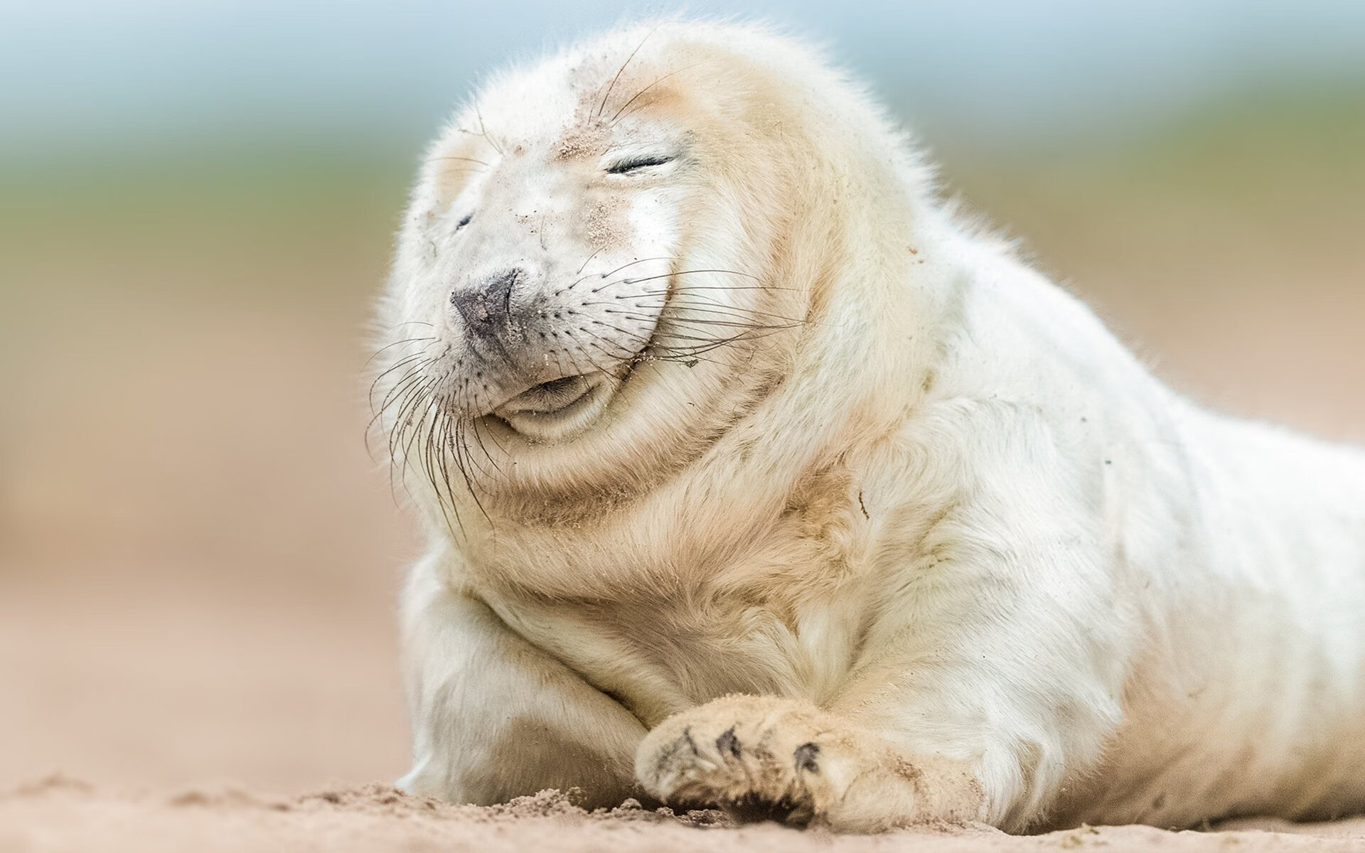 篮球运动员专项体能训练恢复技术的研究与应用，篮球运动员的体能训练涵盖的六大项内容