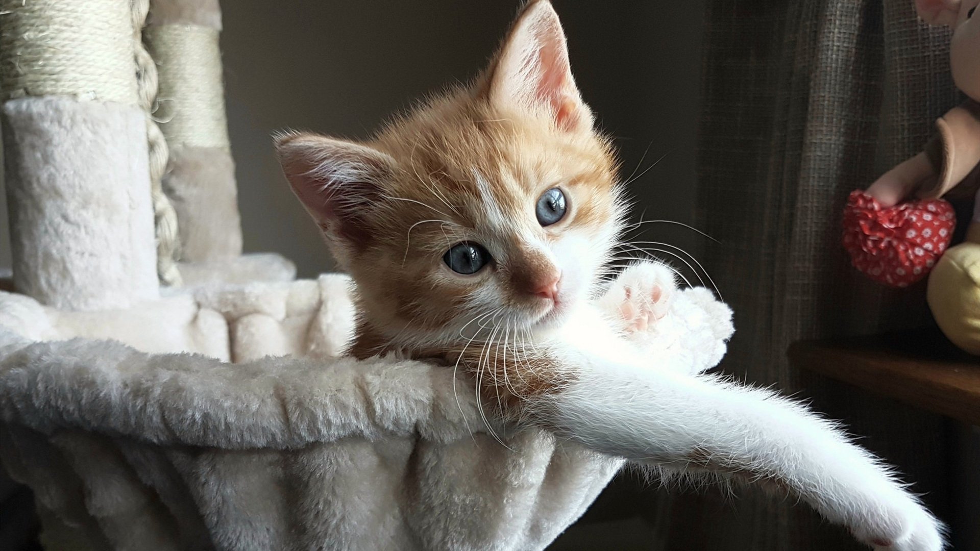 LEYU SPORTS中国官方网站-西甲边锋跑动强度与球队进攻效率相关性调查，西甲边后卫