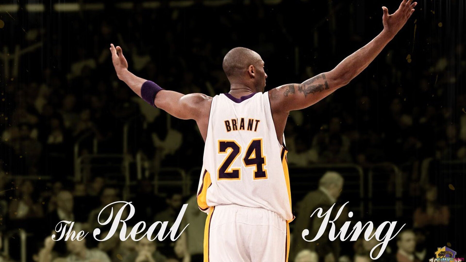 CBA联盟组织青训教练研讨会提升执教水平，cba教练训话