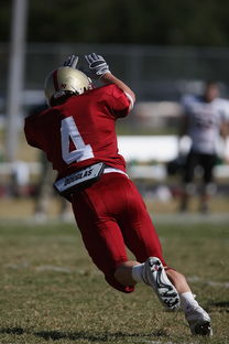 乐鱼vip-五大联赛体能瓶颈期球队是否更偏好长传进攻，体育瓶颈期是啥意思