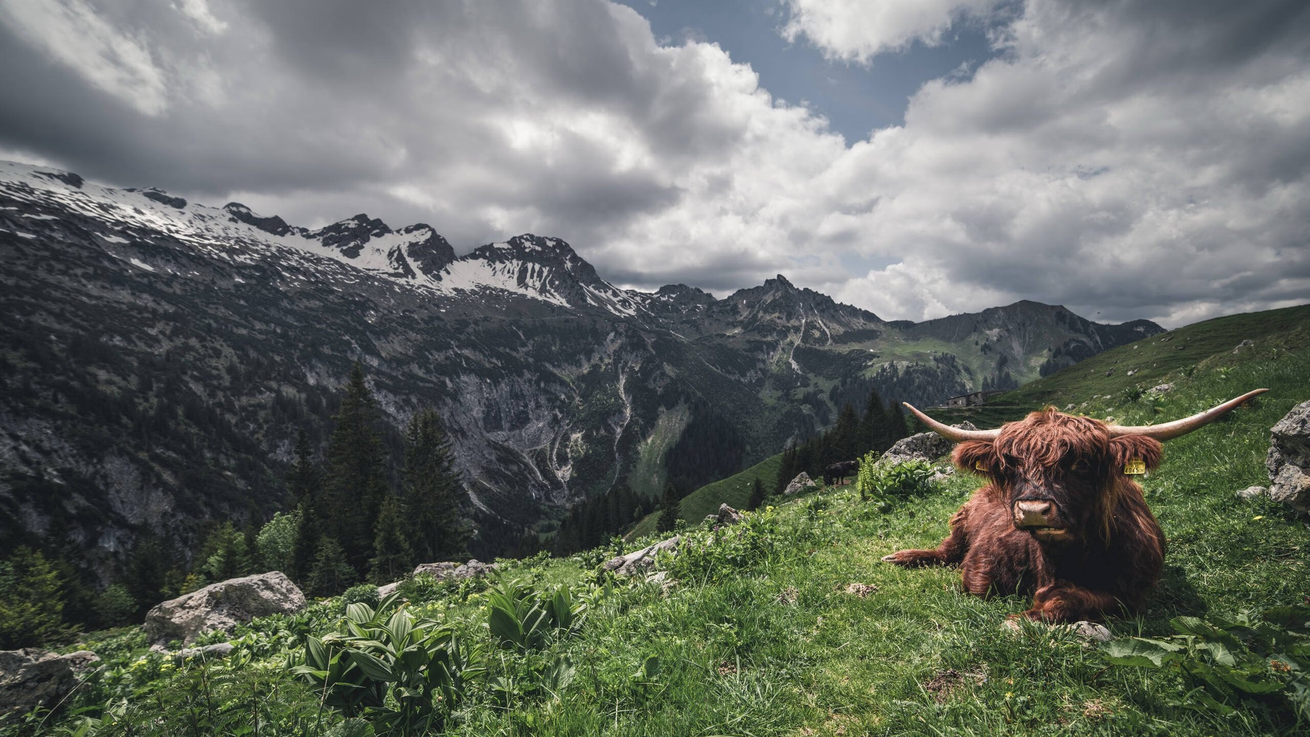 俱乐部管理制度改革缓慢,俱乐部制度有哪些