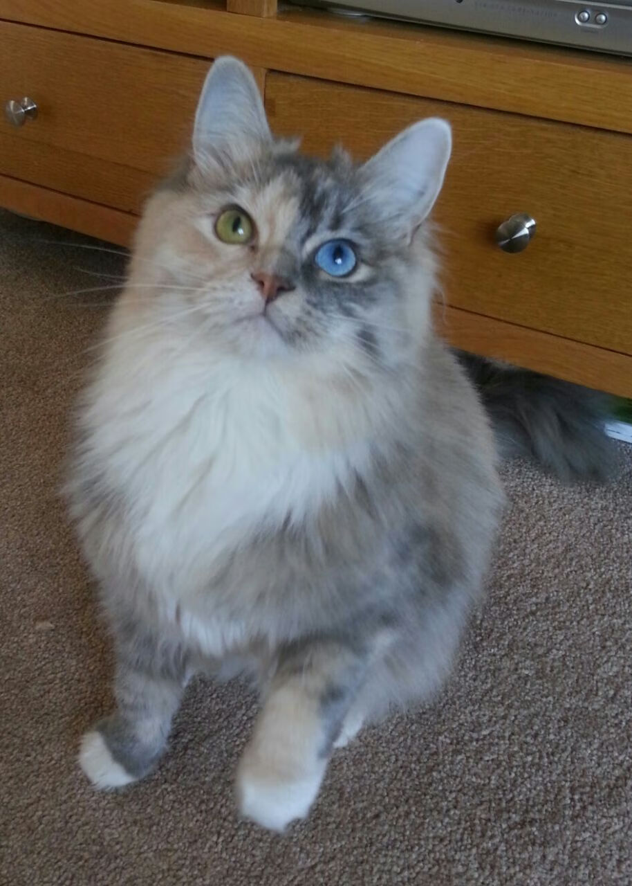 控球主导型球队是否更容易被压迫抢断造成致命失误，控球阵型