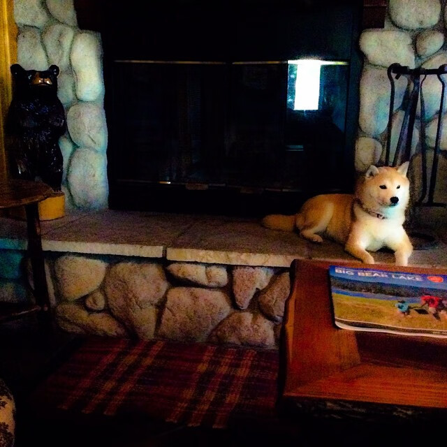 控球主导型球队是否更容易被压迫抢断造成致命失误，控球阵型