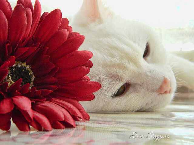 控球主导型球队是否更容易被压迫抢断造成致命失误，控球阵型