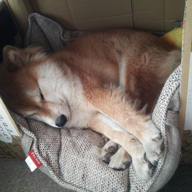 乐鱼体育平台app下载-中国足球职业联赛俱乐部财务透明度进一步提升，中国足球俱乐部盈利