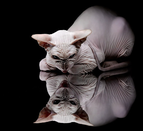 中小学篮球加强篮球文化宣传提升学生认同感,学校篮球文化