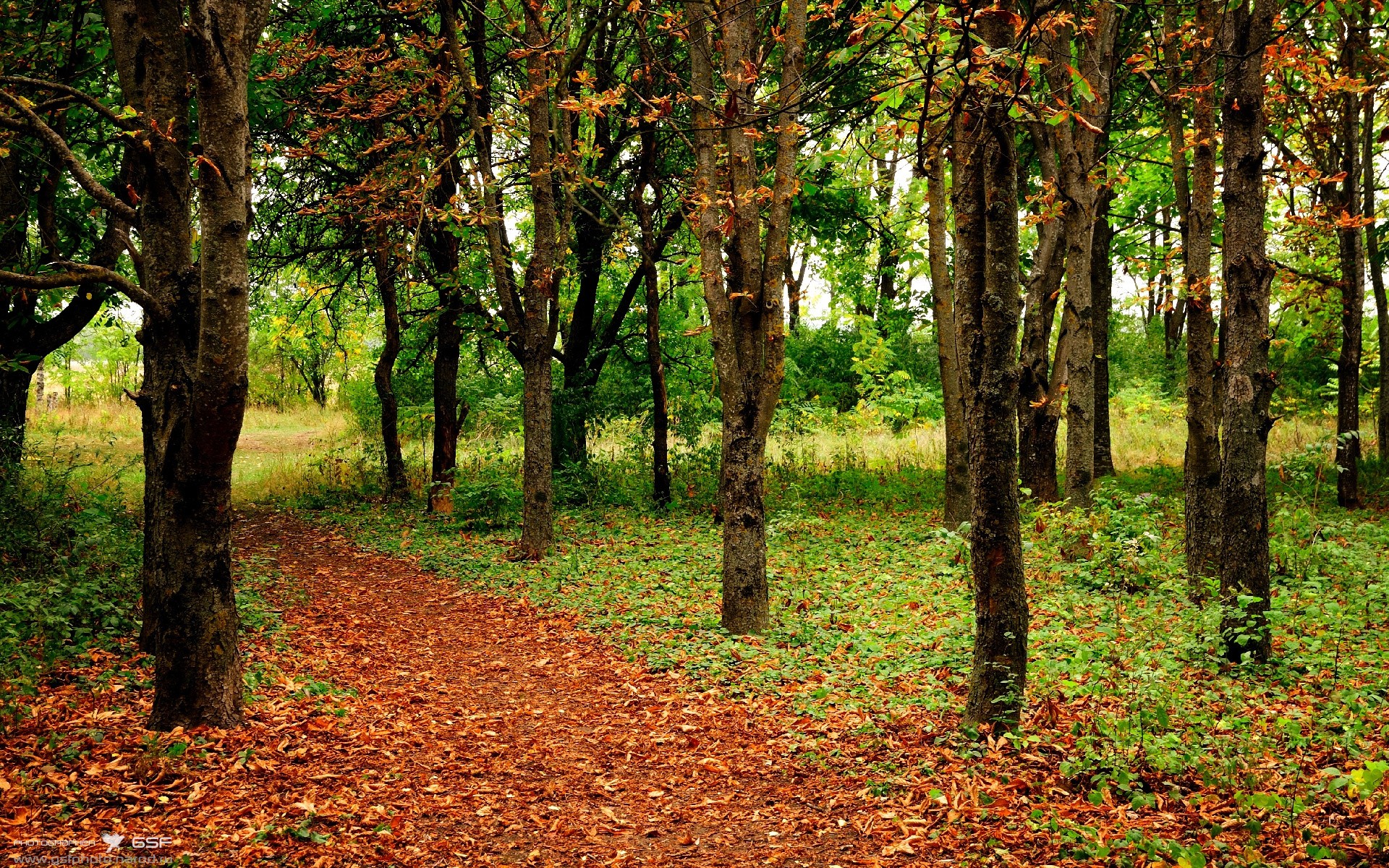 leyu.com-佛得角男篮在非洲锦标赛中表现抢眼，迈向奥运